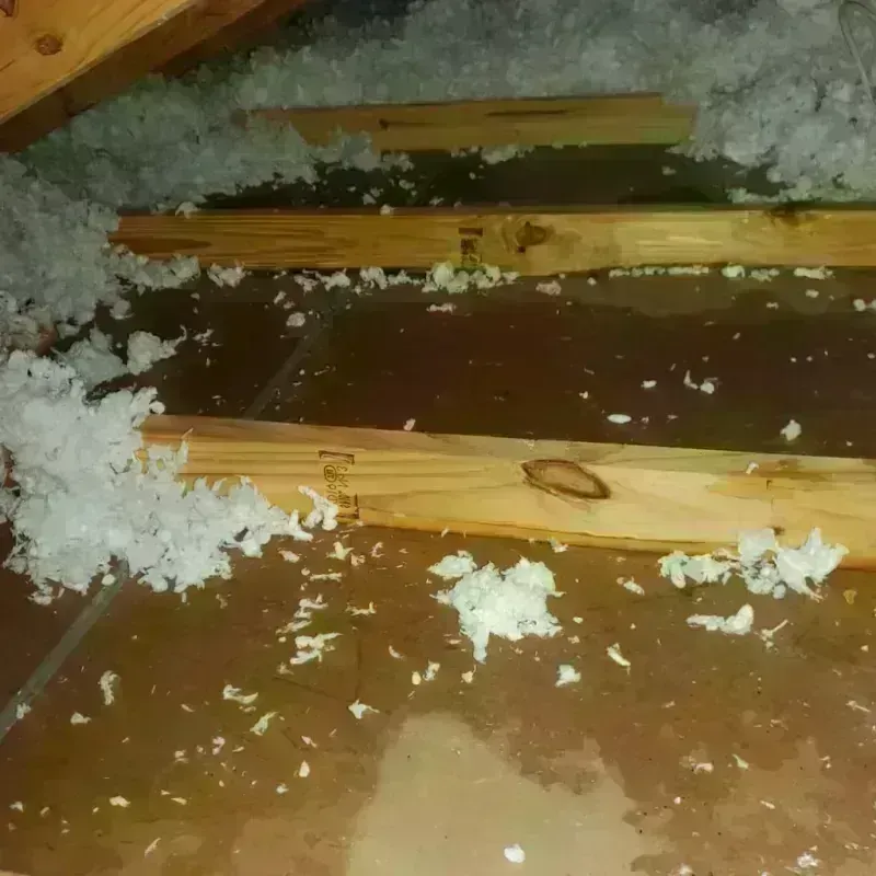 Attic Water Damage in Wirt County, WV